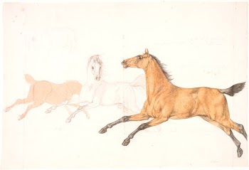 3 running horses by Christian | Free Photo - rawpixel