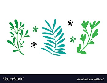 3 simple floral decorative elements