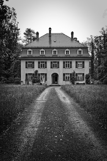 3-story House Surrounded by Trees Grayscale Photography