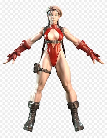 3 - Street Fighter V Cammy Camera