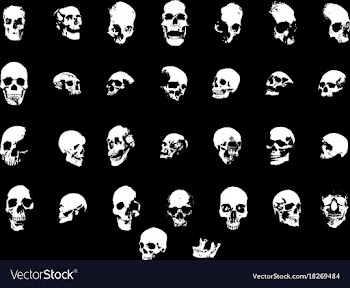 30 skulls vector image