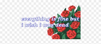 3119 D989 - Dead Rose Wallpaper Aesthetic