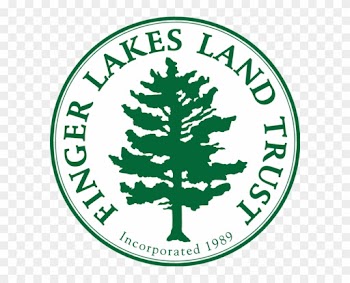 390 Acres With Nearly 6 Miles Of Trails, The Finger - 390 Acres With Nearly 6 Miles Of Trails, The Finger