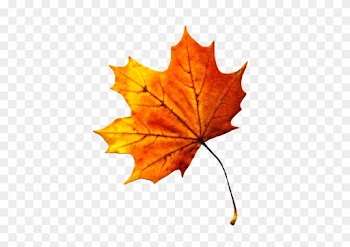 3d Autumn Live Wallpaper - Autumn Leaf Png