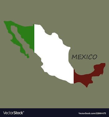 3d flag map of mexico vector image