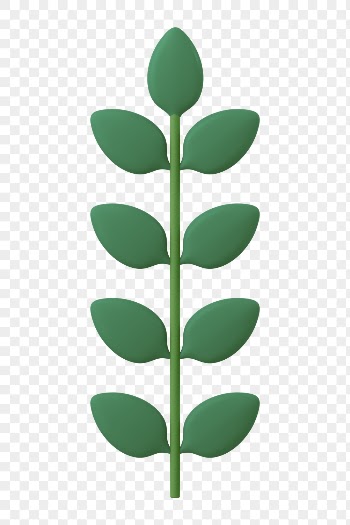 3D leaf png branch, green | Free PNG - rawpixel