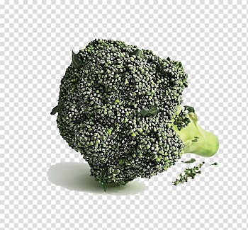 3D modeling 3D computer graphics Broccoli Cinema 4D, Broccoli vegetables transparent background PNG clipart