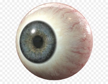 3D modeling Portable Network Graphics 3D computer graphics Human eye - eye 