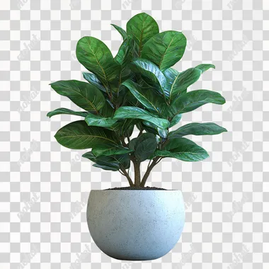 3D Potted Plant: Front View Display