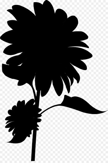 3d Printing, 3d Modeling, 3d Computer Graphics, Blackandwhite, Flower PNG