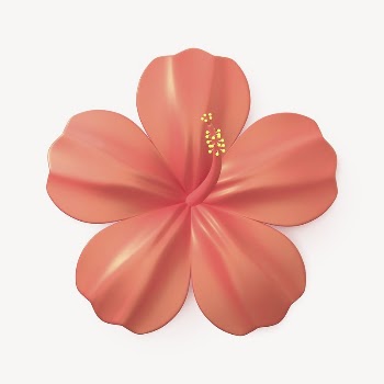 3D red hibiscus, summer concept | Free Photo - rawpixel