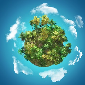 3d tropical background with glove of palm trees on blue sky with circling clouds Free Photo