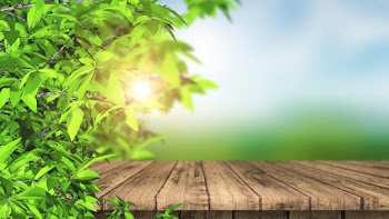 3d wooden table and leaves against a defocused landscape Free Photo