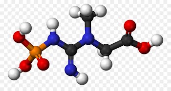 4-Hydroxybenzoic acid Cinnamic acid Salicylic acid -  