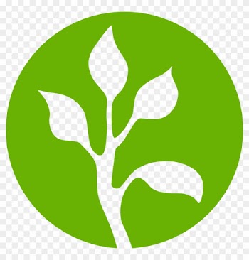 4 Leaf Circle Green - 4 Leaf Circle Green