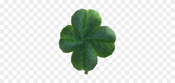 4 Leaf Clover Png Copy Image Four Roblox Wikia Fandom - Shamrock