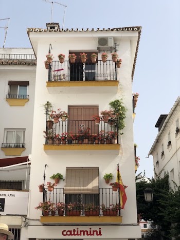 4-storey White Concrete Building