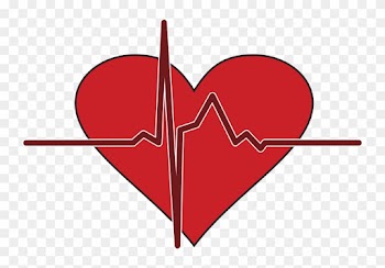 400,000 People Die Each Year From Sudden Cardiac Arrest - Cardiopulmonary Resuscitation