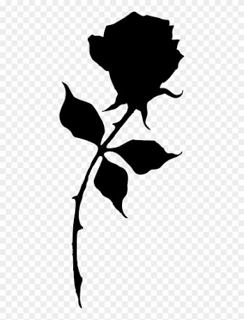 431 X 1024 3 - Silhouette Of A Rose