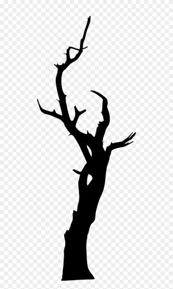 435 × 1200 Px - Tree