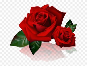 4444130 - Two Red Roses Clipart