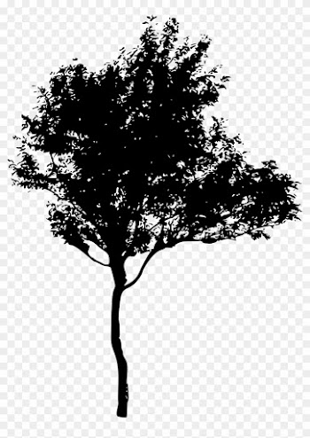 45 Tree Silhouettes Png Transparent Background Onlygfx - Tree Silhouette Png
