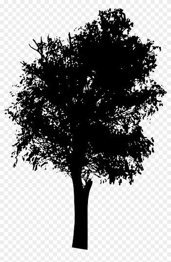45 Tree Silhouettes Png Transparent Background Onlygfx - Vector Tree Silhouette
