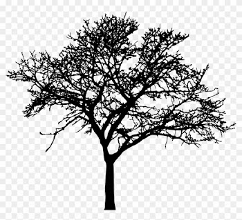45 Tree Silhouettes Png Transparent Background - Tree Silhouette Png