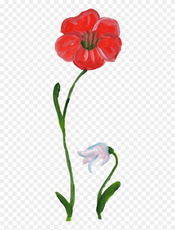 453 × 1389 Px - Rose