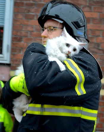 48 Firefighters Who Risked Their Lives To Save Animals | Bored Panda