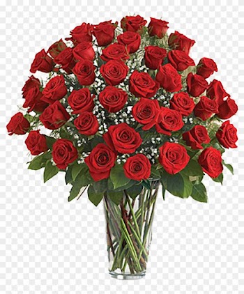 48 Premium Roses Arrangement - 4 Dozen Red Roses