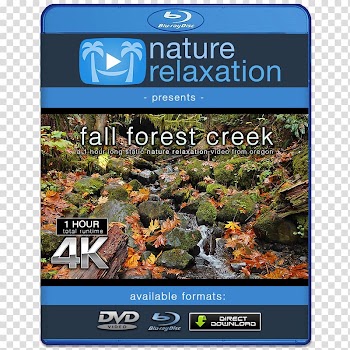 4K resolution Ultra-high-definition television 1080p Display resolution, new autumn products transparent background PNG clipart