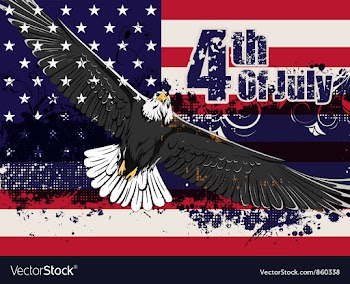 4th of july vector image