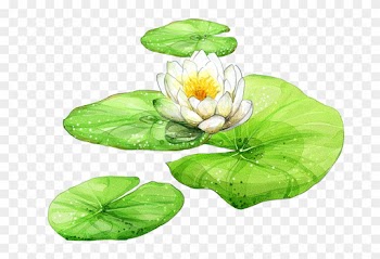 5小时左右） 岳王庙（1小时左右） 西湖游船（含三潭印月，2小时左右） 西湖礼物店（0 - Lotus Leaf Png