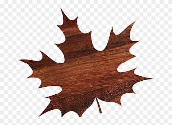 5/10 - Give Thanks Leaf Shower Curtain