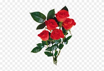 5-2 19 - Bouquet De Rose Rouge En Png