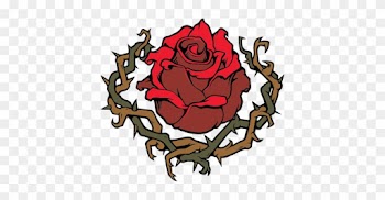 5 Colors - Garden Roses