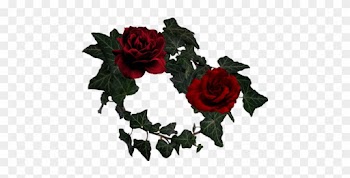 5 - Garden Roses