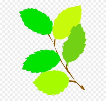 5 Green Leaves Clipart