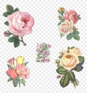 5 Vintage Flowers By Victorian-lady - Elegant Rose Throw Blanket