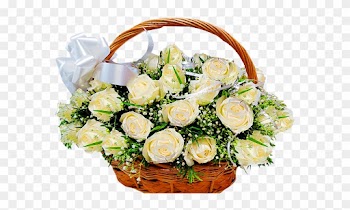 50 White Roses Basket - Rose
