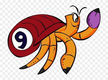 501 Nonprofit League - Hermit Crab Races