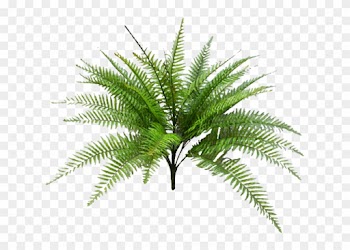 51cm Fern Bush W/34lvs - Fan Palm Leaf