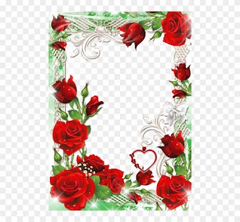 53c4c254467d4 B - Red Rose Frames