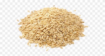 57285e5c22578 - Sattvic Foods Gluten Free Hulled Groats Oat, 500g