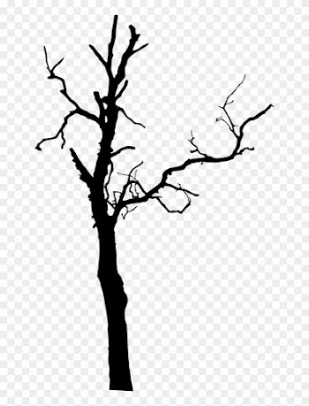 575 × 1500 Px - Dead Tree Silhouette Png