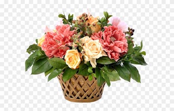59677228 1275230260 Fl31 - Garden Roses