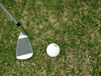 5iron.JPG