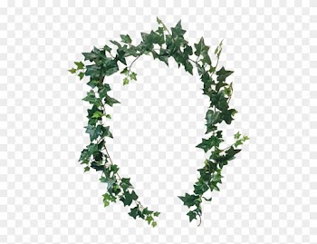 6ft Sage Ivy Garland 171 Leaves - Leaf Garland Png