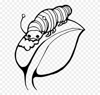 -7 Leaves Clipart Black And White - Caterpillar On A Leaf